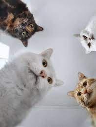 Куда это ты опять смотришь?