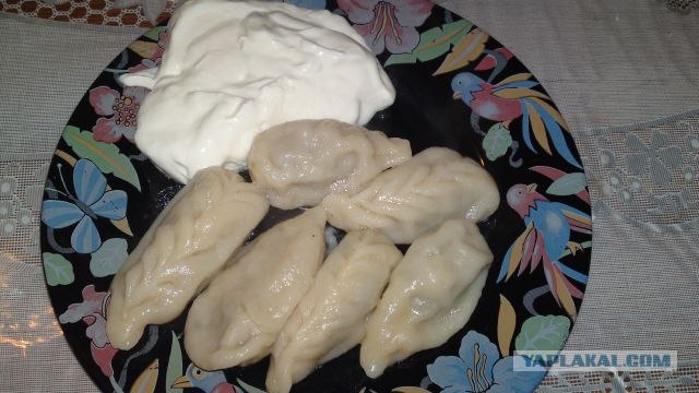 Пятничные посиделки на теплотрассе ©