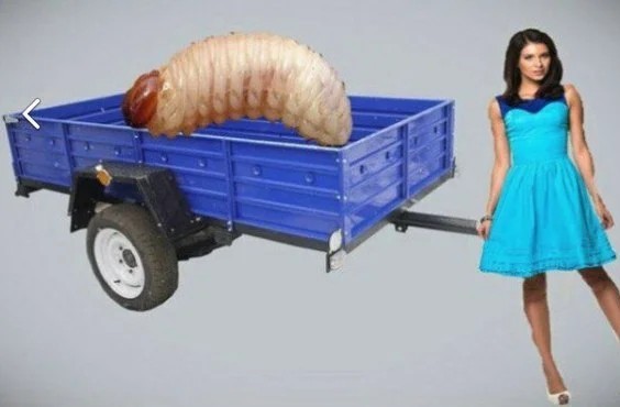 Настоящий мужик должен её детям