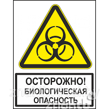На территории Белоруссии разворачивается спецоперация.