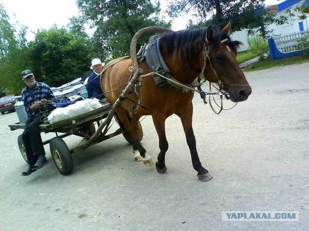 Фотоотчет о поездке в Беларусь!