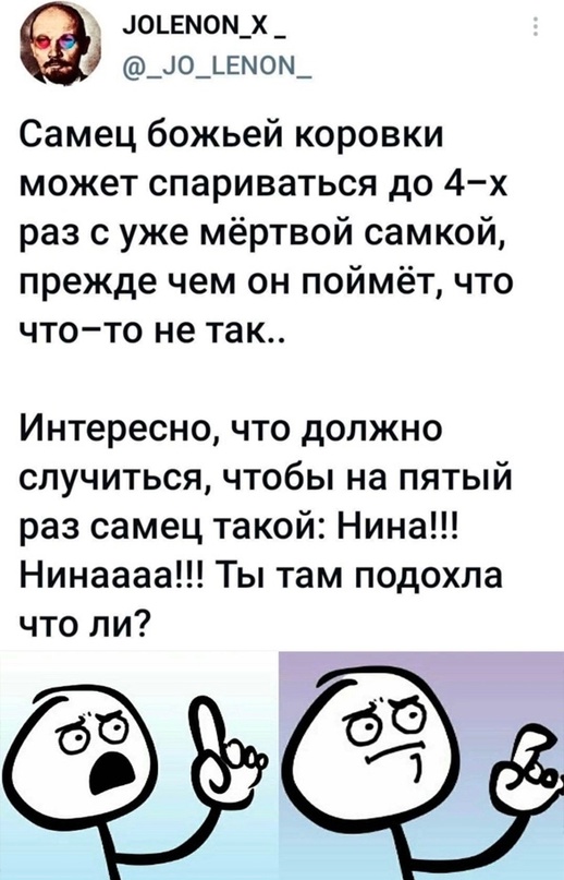 Весёлый полтишок 20.07.2022