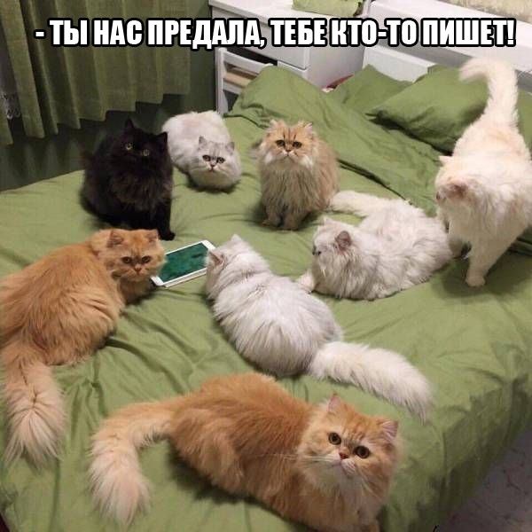 Немного картинок."Колбасный ветер". Август