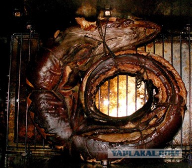 9 опасных продуктов