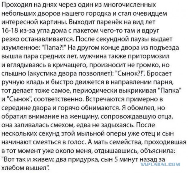 Так себе картинки 13.06.24