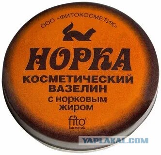 Почему не стоит использовать подсолнечное масло для мастурбации