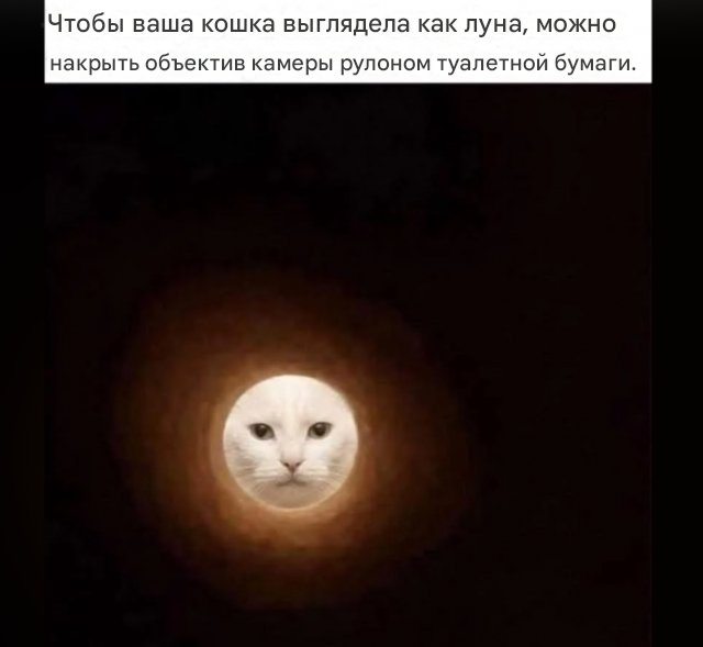 Пятничные картинки