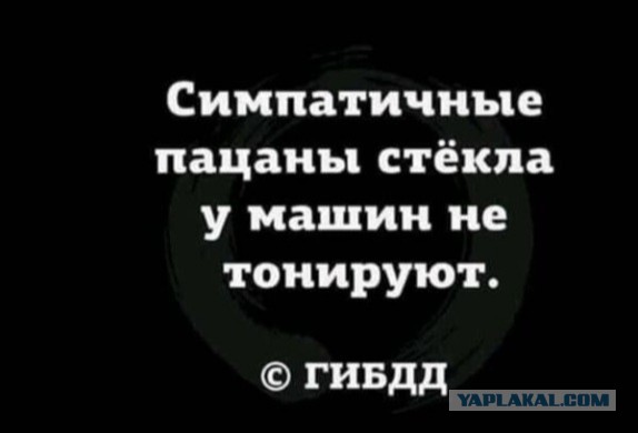 "Давай спросим, чего он хочет!"