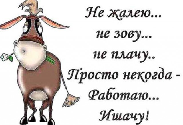 Похититель топлива из Подмосковья отсосал из каршеринга 98 литров бензина