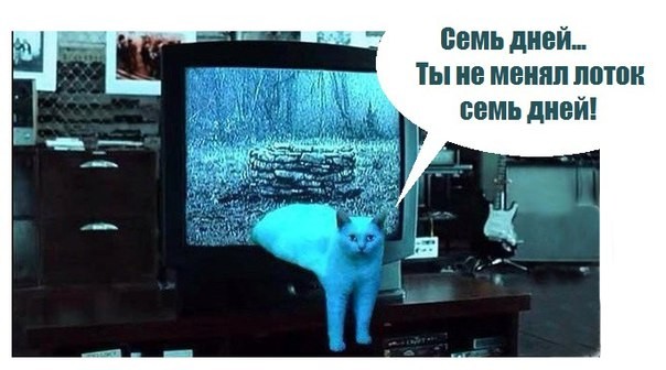 Осталось семь дней