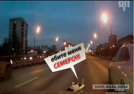 Психанула