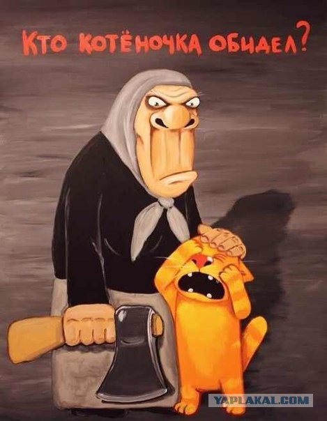 Кот выжил после выстрела стрелой в голову.