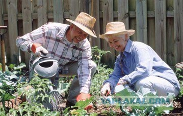 Ожидания VS Реальность