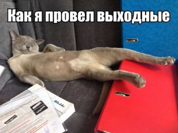 Картинки