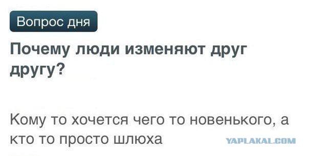 Смешные коментарии из соц. сетей