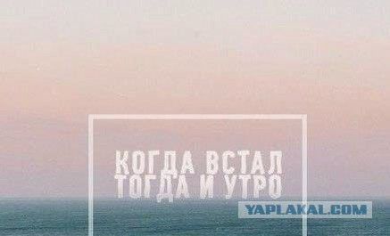 Просто картинки