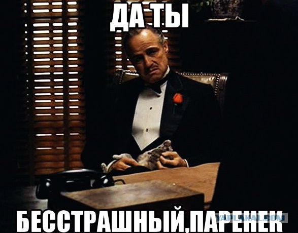 А белый лебедь...