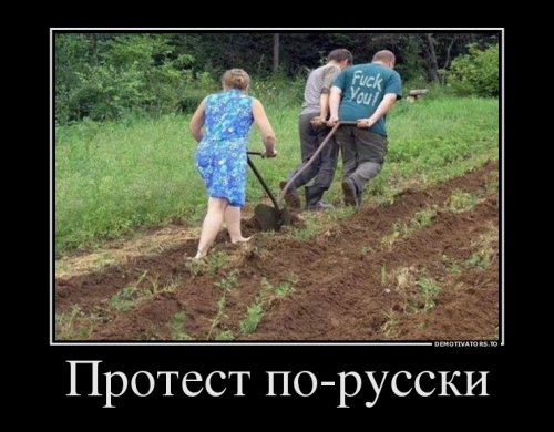 Веселые картинки