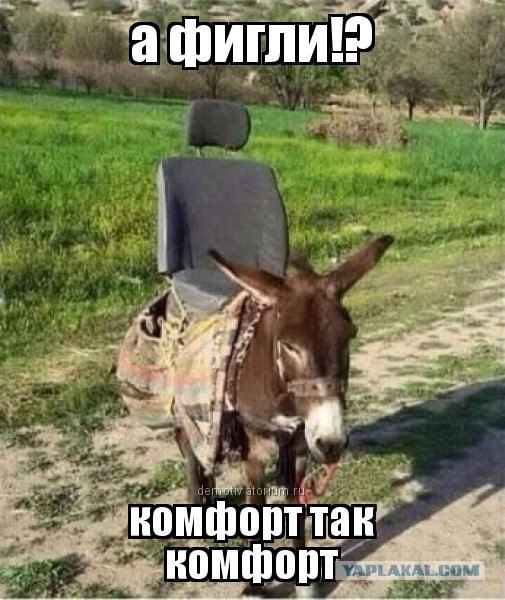 Фотоприколы на автотематику