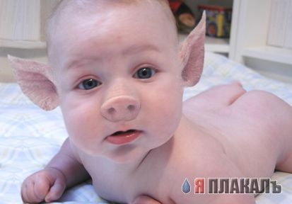ХРЮШКИ. Уголок Пятачка, кабаны, свиньи