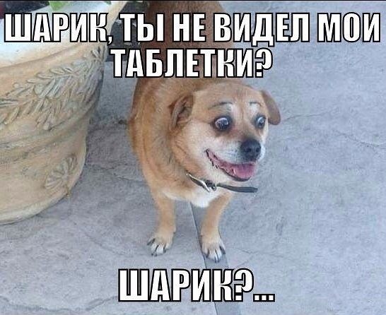 Интересные и смешные картинки!