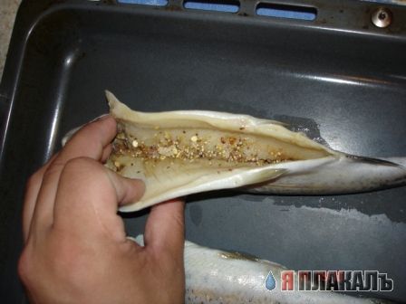 Все из рыбы!