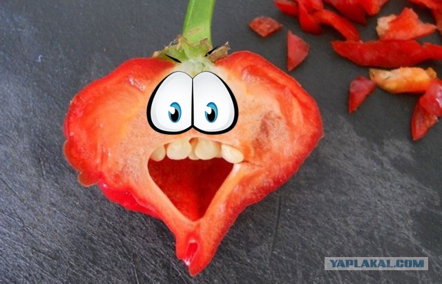 Продукты, которые удивят вас одним своим видом