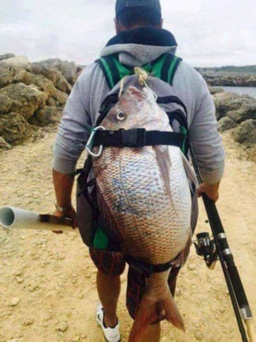 30 картинок на тему рыбалки