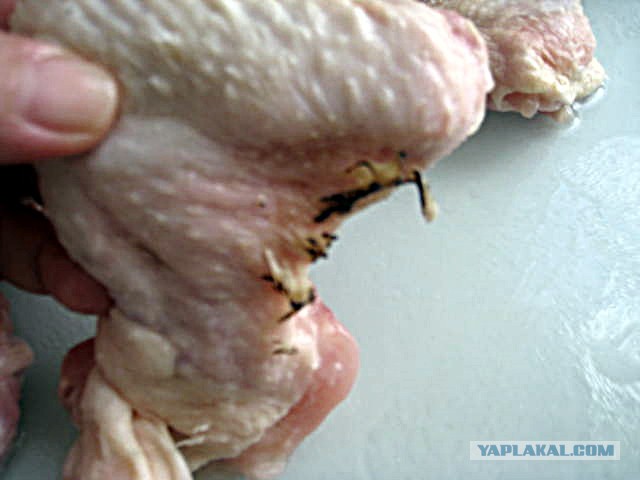 Летнее окрыление!