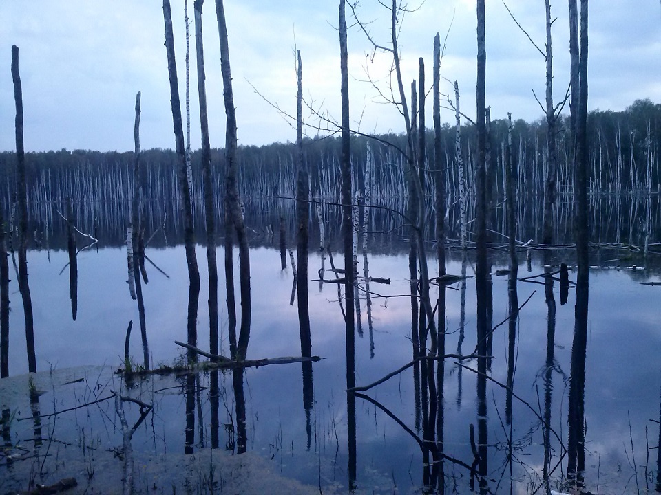 Озеро светлое павлово посадский район
