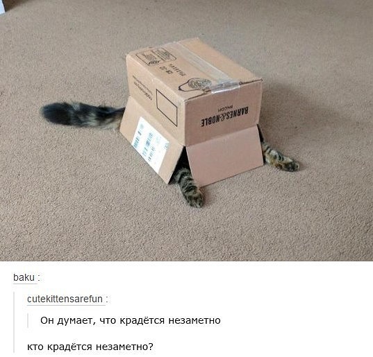 Всё это ХОЖ