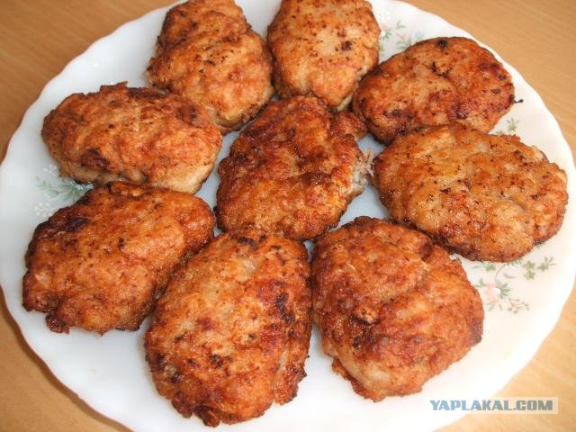 Практическое руководство по уборке за домашними собаками в уличных условиях.