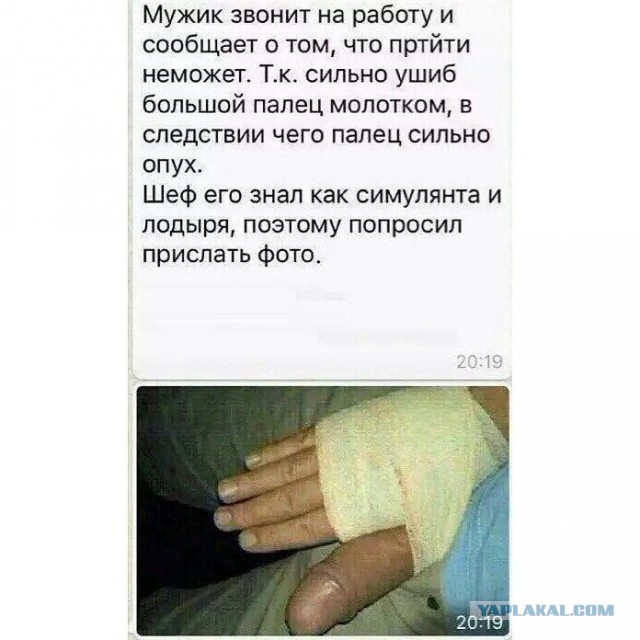 Итоги проверки пользователей