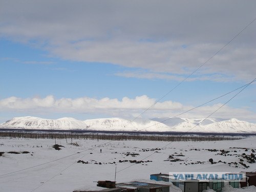 Подснежники гробы. г. Норильск