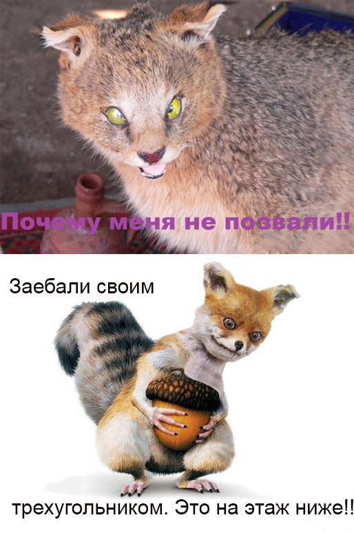 Прикольные картинки.
