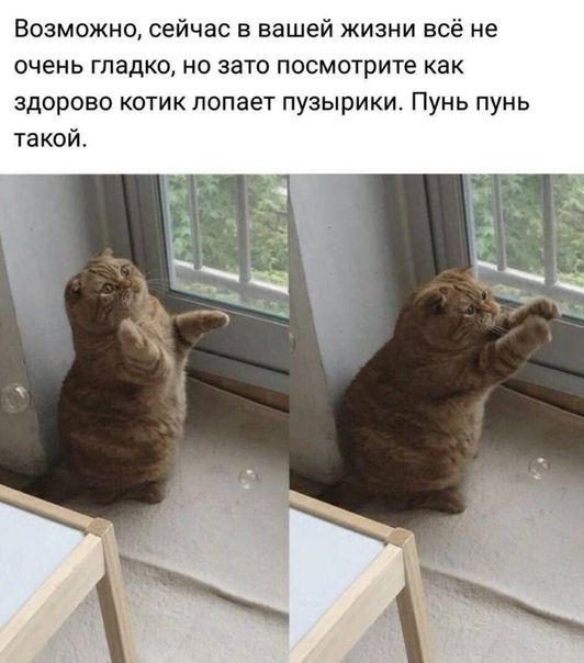 Нестандартный юмор