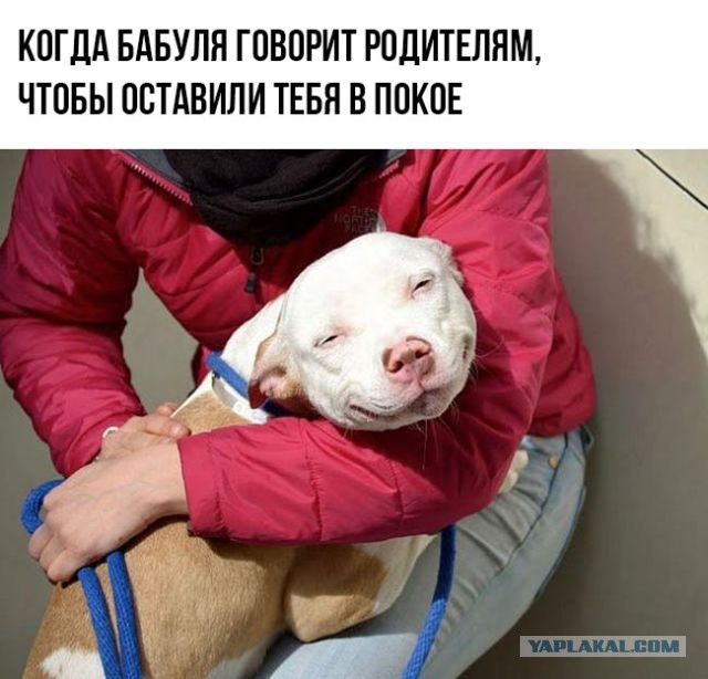 К слову, о карме