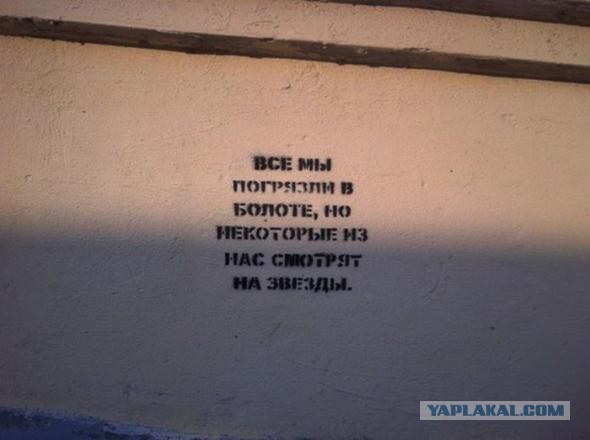 «Бродячие» философы: 17 глубокомысленных заметок в транспорте и на улицах