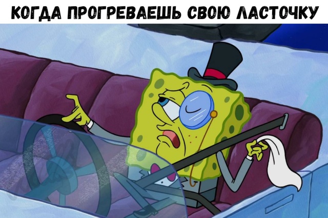 Солянка картинок из интернета