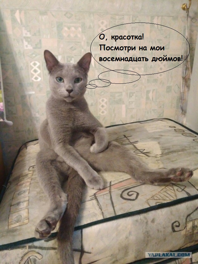 Как назвать?