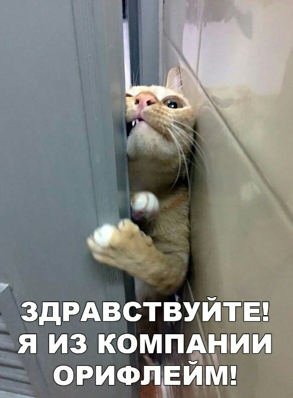 «Картинки всякие нужны, картинки всякие важны» ©