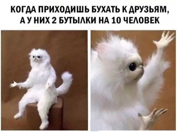 Алкопост выходного дня