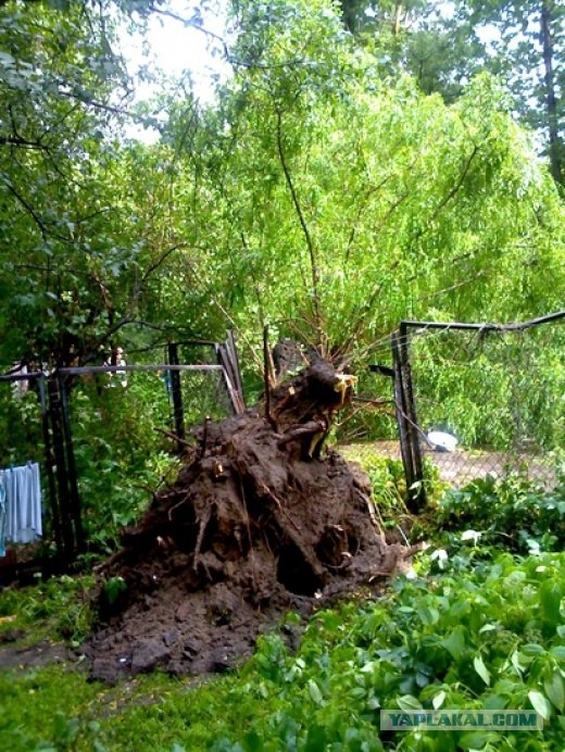 Ураган во Львове.