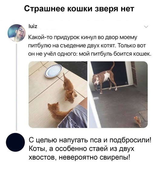 Бредзона 10.11.19