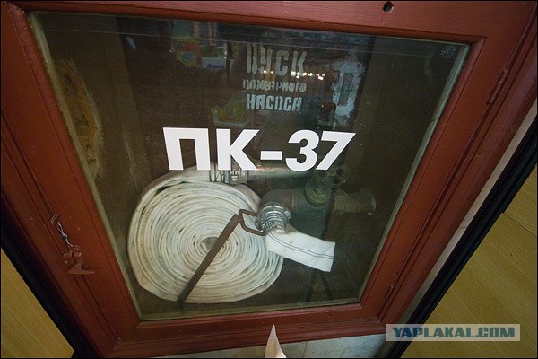 Детский мир. День последний.