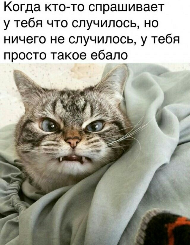 Немного картинок для настроения 18.02.20