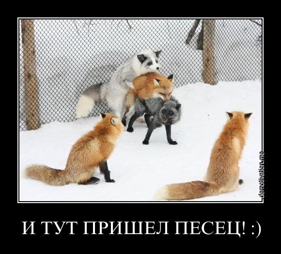 Бредзона 18.03.2020