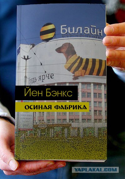 Фотожаба: Книги!