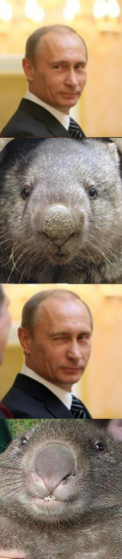 Фотожаба: Путин развлекает Медеведева
