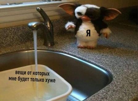 Фотки и картинки: юморные и красивые, забавные и милые 21.12.20